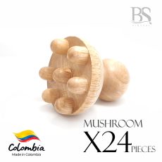 BSV_mushroom